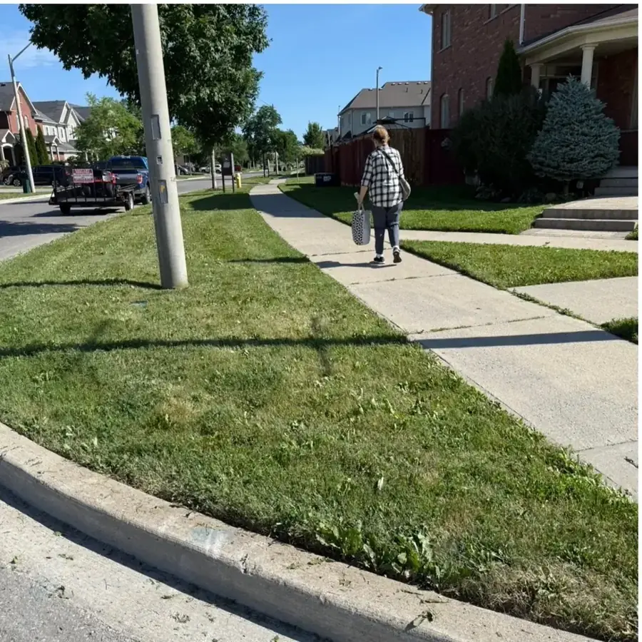 Boulevard grass strip cut clean along a residential sidewalk