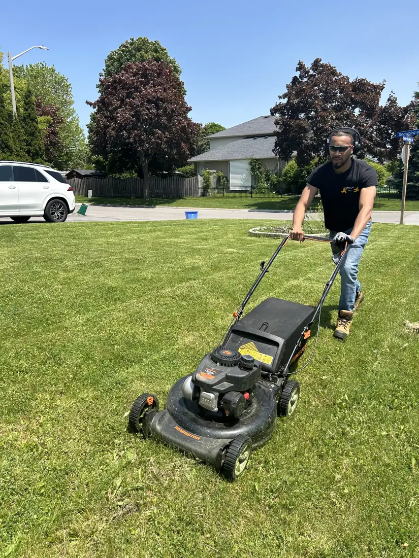 Cutting a front lawn