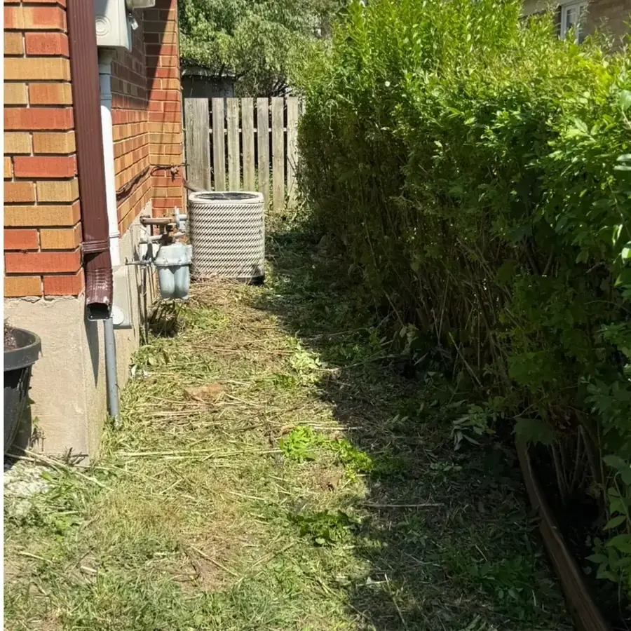 Cleared walkway along the side of a brick house after brush removal