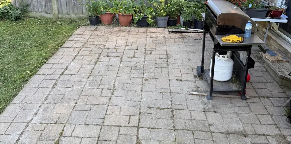 Backyard patio stones cleared of weeds after a full reset