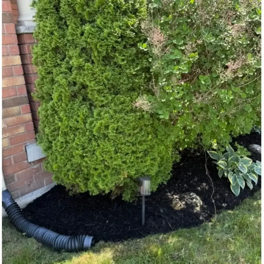 Trimmed hedge with a fresh mulched bed at its base