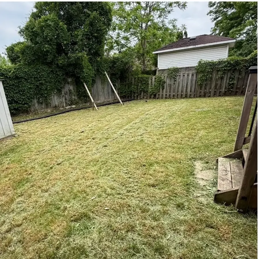 Same backyard cut short and cleared after cleanup